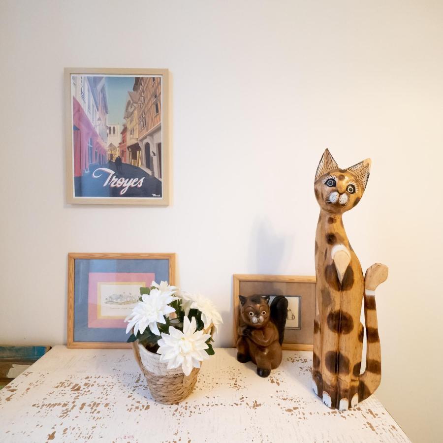 Le Chat De La Cathedrale - Calme - Jardin - Wifi Τρουά Εξωτερικό φωτογραφία